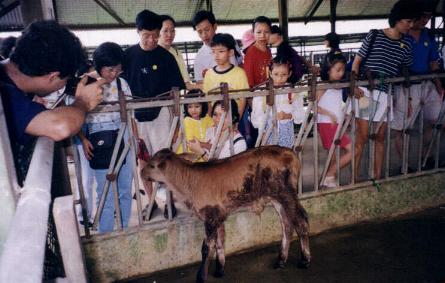 farm1.JPG (28963 bytes)