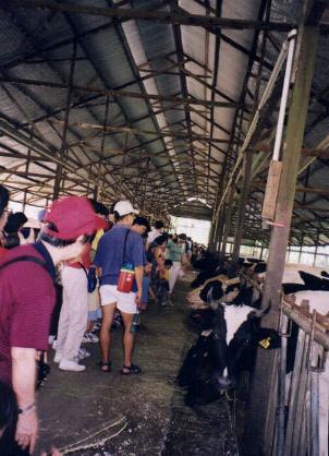 farm2.JPG (30677 bytes)
